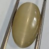 Cat’s Eye Stone (Lehsunia) & Lab- Certified Gemstone – 6.86 Carat