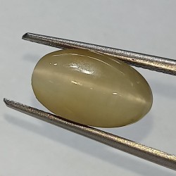 Cat’s Eye Stone (Lehsunia)...