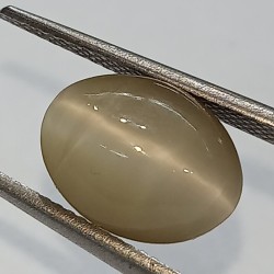 Cat’s Eye Stone (Lehsunia)...