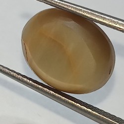 Cat’s Eye Stone (Lehsunia) & Lab- Certified Gemstone – 6.76 Carat