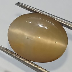 Cat’s Eye Stone (Lehsunia)...