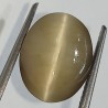 Cat’s Eye Stone (Lehsunia) & Lab- Certified Gemstone – 6.26 Carat