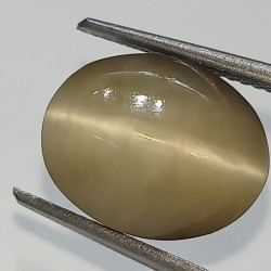 Cat’s Eye Stone (Lehsunia)...