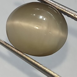 Cat’s Eye Stone (Lehsunia)...