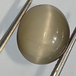 Cat’s Eye Stone (Lehsunia) & Lab- Certified Gemstone – 6.29 Carat