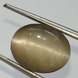 Cat’s Eye Stone (Lehsunia)...