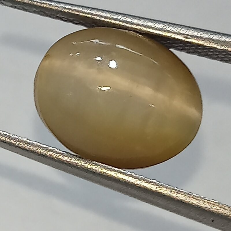 Cat’s Eye Stone (Lehsunia) & Lab- Certified Gemstone – 6.01 Carat