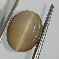 Cat’s Eye Stone (Lehsunia) & Lab- Certified Gemstone – 6.01 Carat