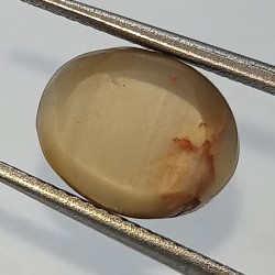 Cat’s Eye Stone (Lehsunia) & Lab- Certified Gemstone – 6.01 Carat