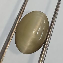 Cat’s Eye Stone (Lehsunia) & Lab- Certified Gemstone – 6.49 Carat