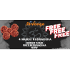 Free 4 Mukhi Rudraksha Original - *Delivery Charges only Rs 99