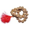 5 Mukhi Rudraksha Kanthi Mala Nepali Certified, 36+1 Bead & 25 mm Approx