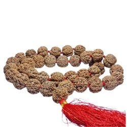 5 Mukhi Rudraksha Kanthi Mala Nepali Certified, 36+1 Bead & 25 mm Approx