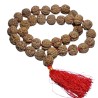 5 Mukhi Rudraksha Kanthi Mala Nepali Certified, 36+1 Bead & 25 mm Approx