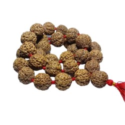 8 Mukhi Rudraksh Mala Indonesia 32+1 Bead 28mm appx. Beads