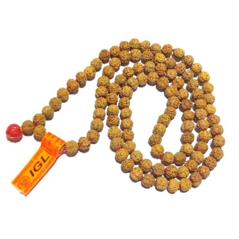 Natural 6 Mukhi Rudraksha Mala Genuine Affordable & Certified Mala