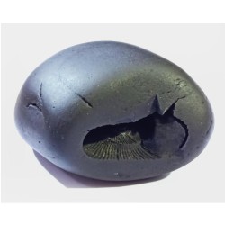 Very Rare Laxmi Narayan Shaligram  348 Gram (Lakshmi narayan)