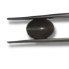 Cat’s Eye Stone (Lehsunia) Smoky Black Colour Gemstone – 6.20 Carat