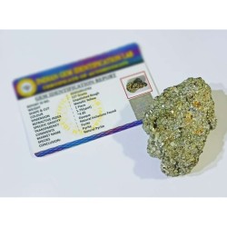 Certified Golden Pyrite Raw...
