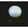 Pearl (Moti) Stone 5.25 Carat & Certified