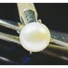 Pearl (Moti) Stone 5.25 Carat & Certified