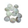 Gomti Chakra Very Rare Big Size set of 11, 2 Inch Approx