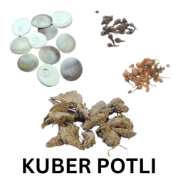 Kuber Potli - Gomti Chakra,...