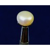 Pearl (Moti) Stone 7.25 Carat Certified