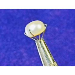 Pearl (Moti) Stone 6.25 Carat Certified