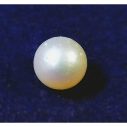 South Sea Pearl (Moti) 7.25...