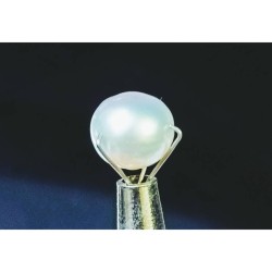 South Sea Pearl (Moti) 5.25 Carat & Certified