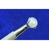 South Sea Pearl (Moti) 5.25 Carat & Certified