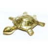 Brass Kachua (Tortoise), Buy Online shivaago, Orignial Brass Kachua