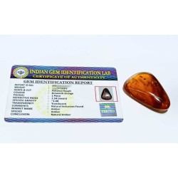 Natural Amber Stone Raw - Certified (51 Crt Approx.)