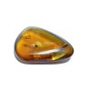 Natural Amber Stone Raw - Certified (51 Crt Approx.)