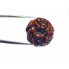 Certified 5 (Panch) Mukhi Rudraksha Bead Genuine, Rare, Affordable