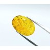 Original Amber stone 8.25 carat - Certified (Without Silver)