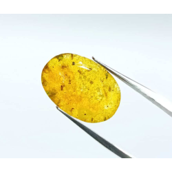 Original Amber stone 8.25 carat - Certified (With Silver)