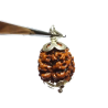 Natural 3 Mukhi Rudraksha Bead In silver pendant & Certified