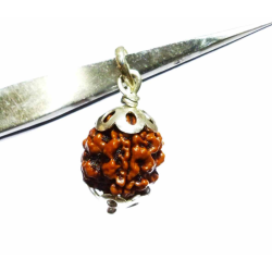 Natural 3 Mukhi Rudraksha Bead In silver pendant & Certified