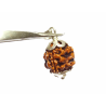 Natural 3 Mukhi Rudraksha Bead In silver pendant & Certified