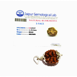 Natural 3 Mukhi Rudraksha Bead In silver pendant & Certified