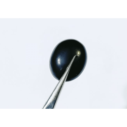 Natural Black Onyx (Oval Shape) & Lab Certified -10.25 Carat