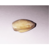 Mach Mani (Fish Pearl)  Natural Browny Pearl - 20 carat approx