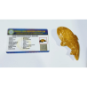 Yellow Jasper Fish (1 Piece) Lab-Certified