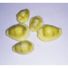 Yellow Kauri (Peeli Kaudi)- 21 Pieces For Health, Prosperity