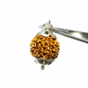 7 Mukhi Rudraksha Bead in Silver Pendant & Certified