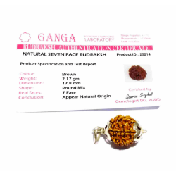 7 Mukhi Rudraksha Bead in Silver Pendant & Certified