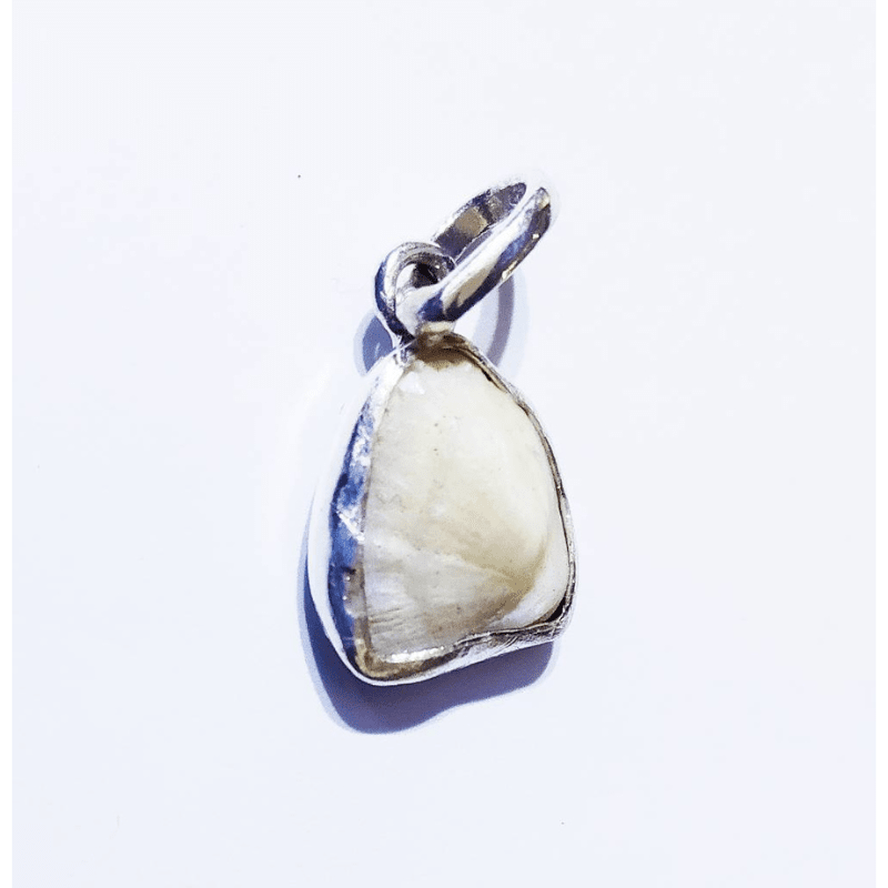 Mach Mani (Fish Pearl) - in Silver Locket  5 Carat