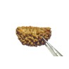 Certified 1 Mukhi Rudraksha One Faced Rudraksha 100% Genuine